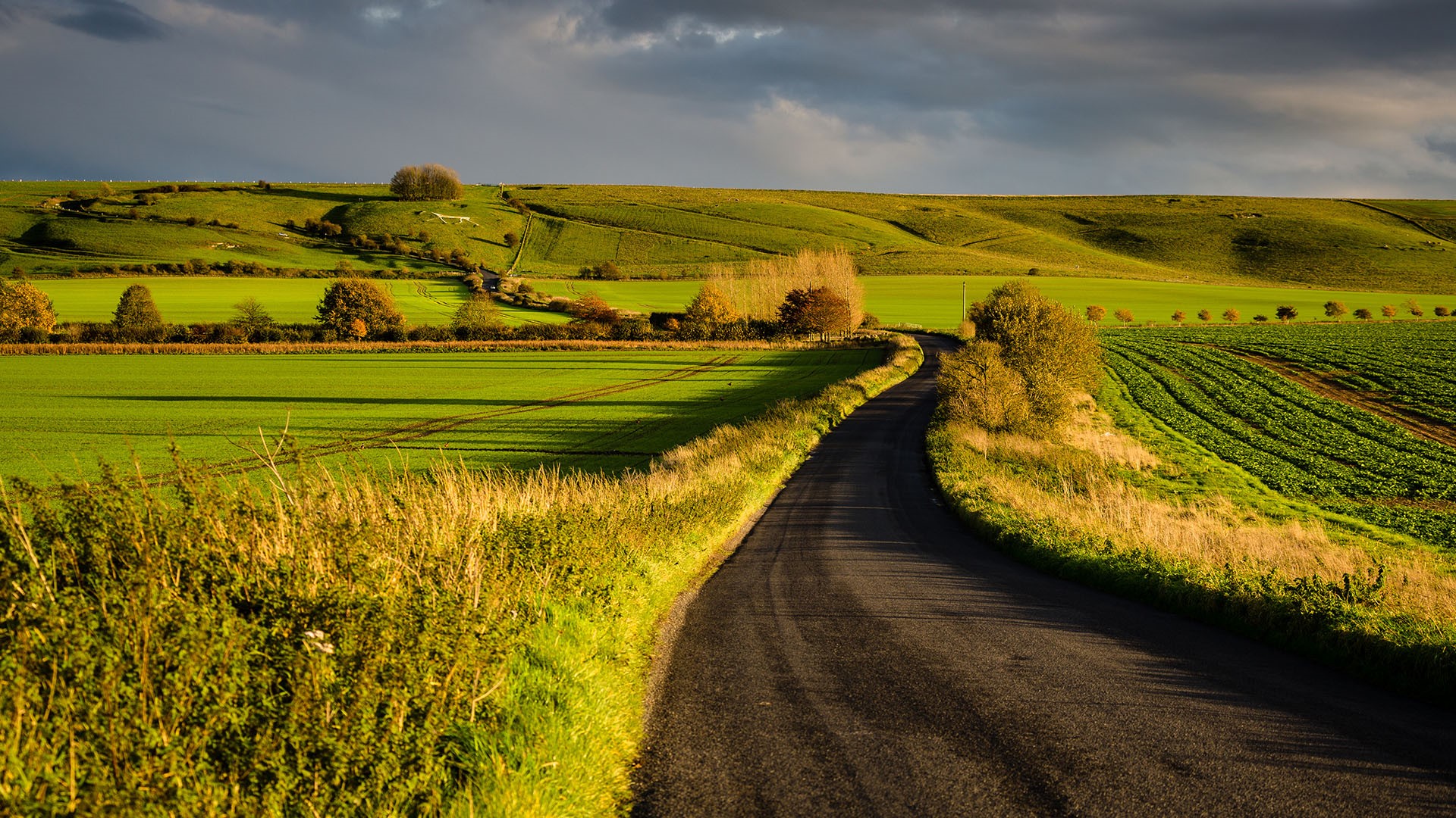 Autumn Afternoon Wallpapers