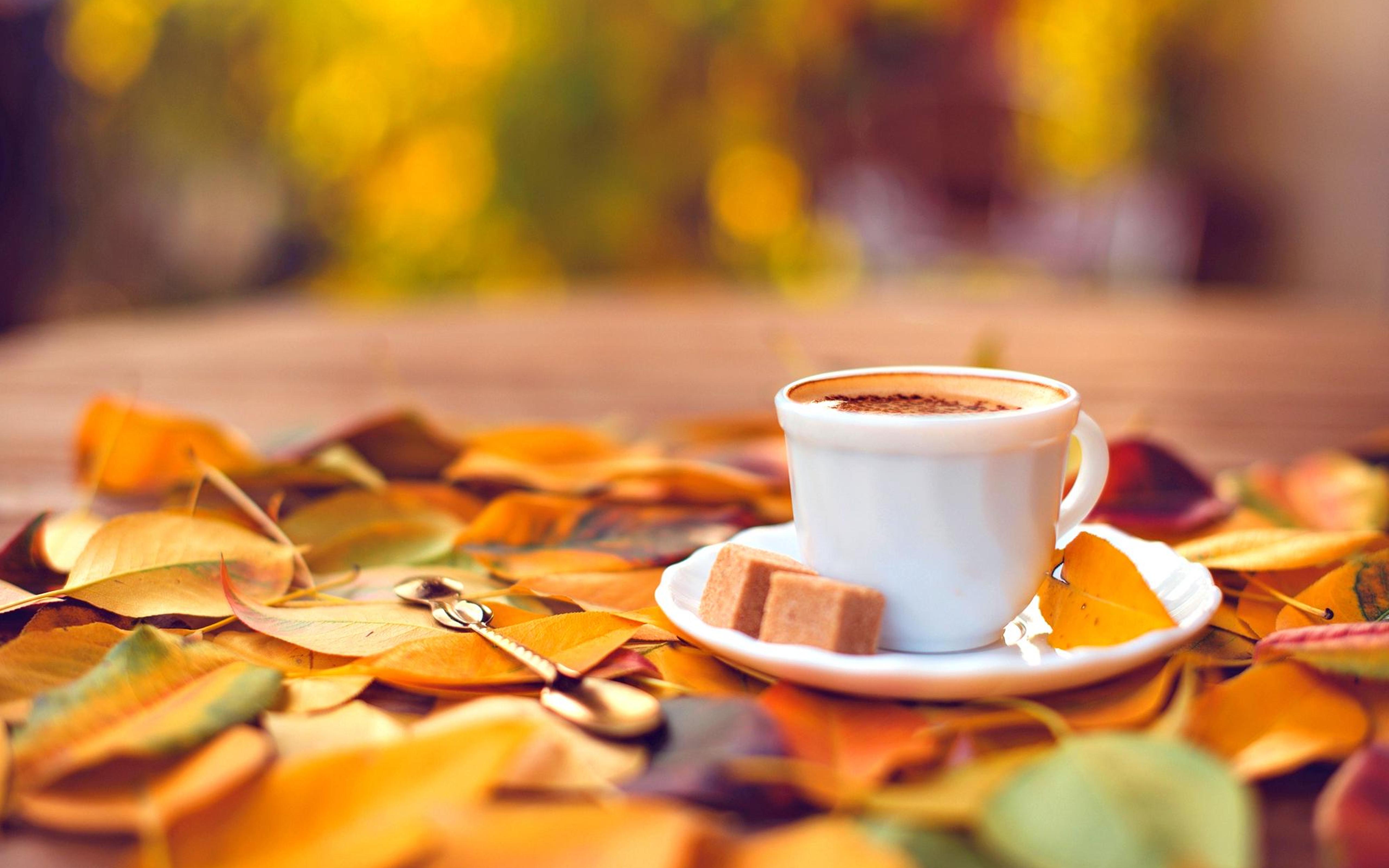 Autumn And Coffee Wallpapers