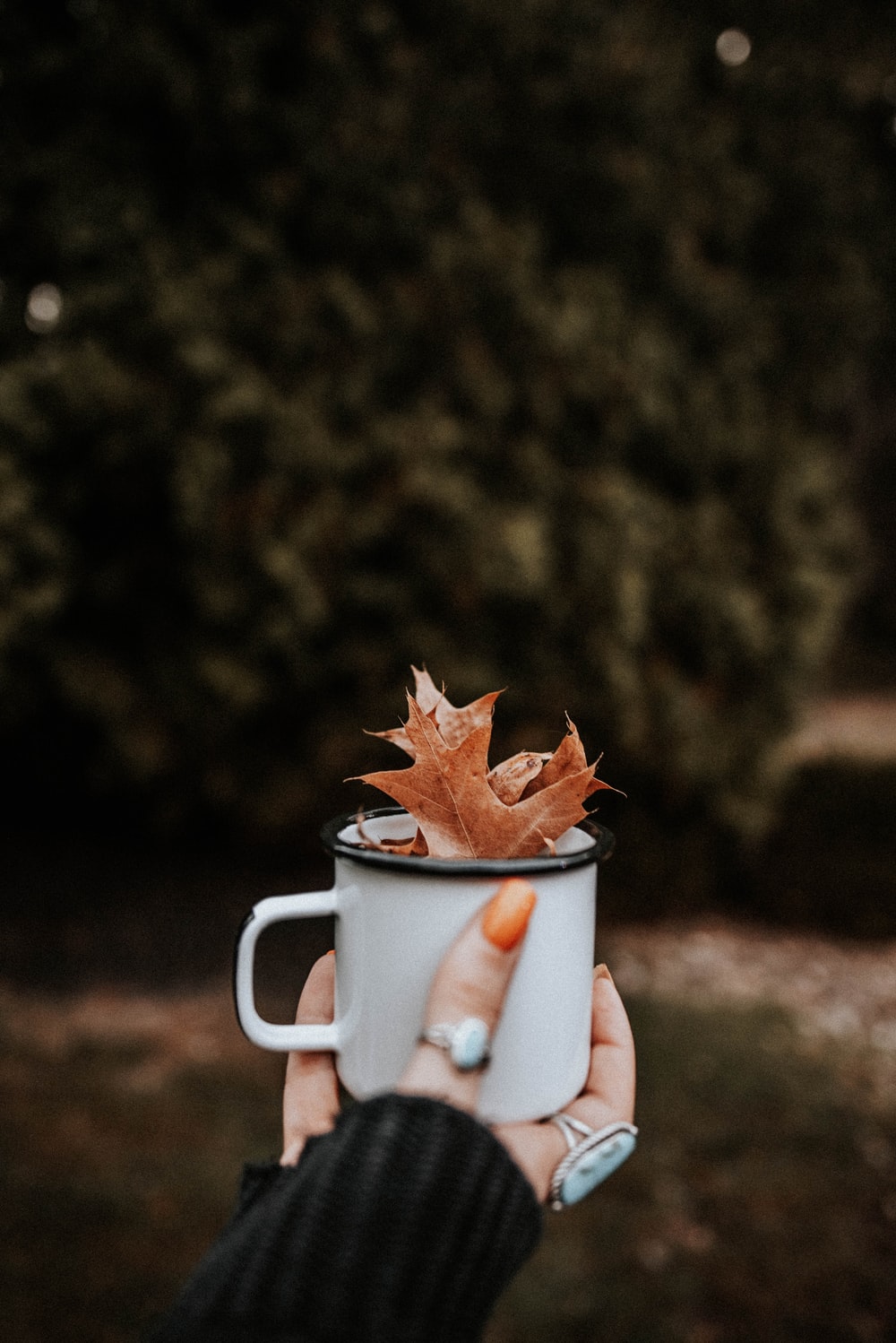 Autumn And Coffee Wallpapers