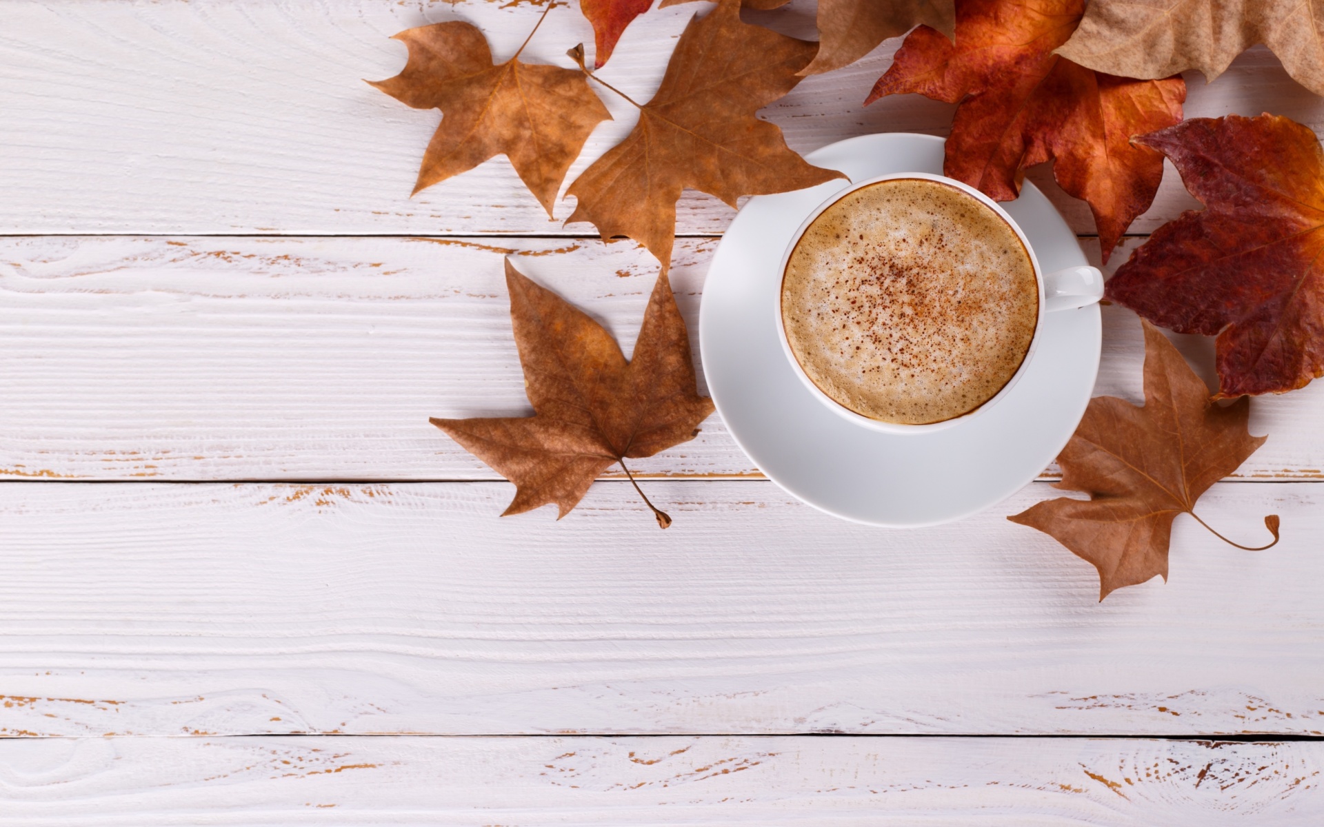 Autumn And Coffee Wallpapers