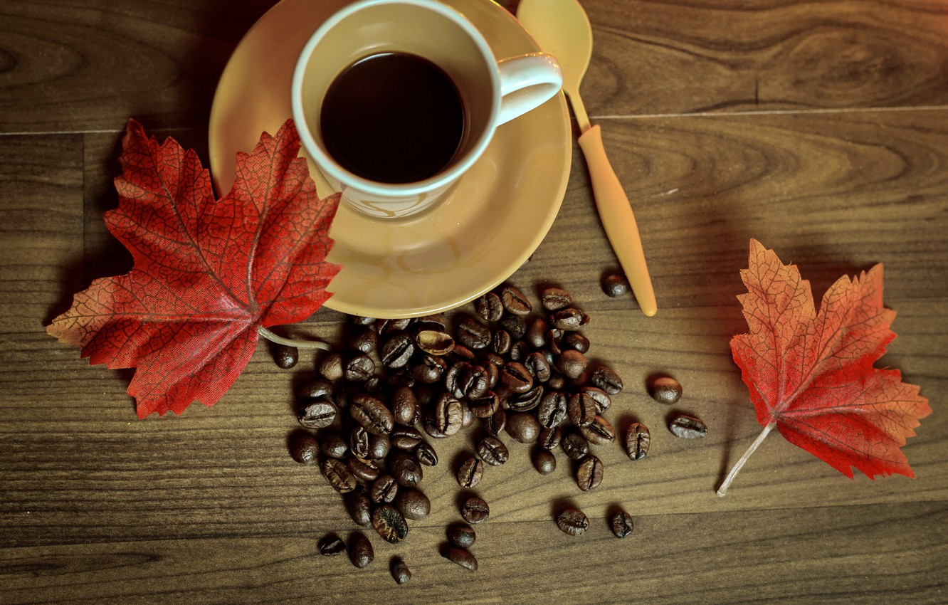 Autumn And Coffee Wallpapers