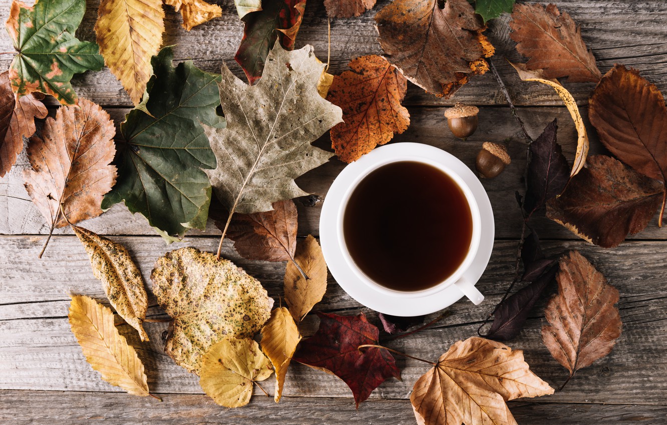 Autumn And Coffee Wallpapers