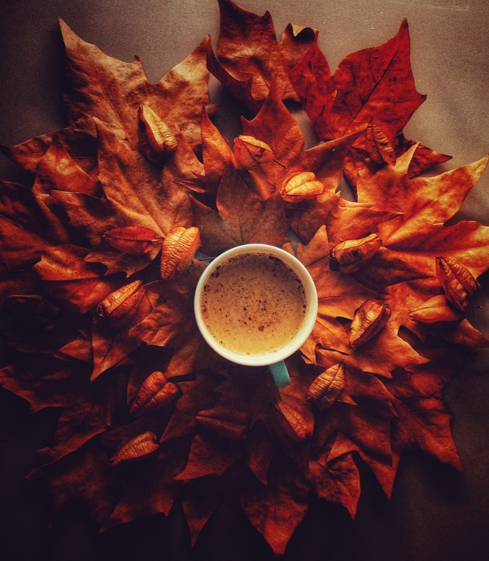 Autumn And Coffee Wallpapers