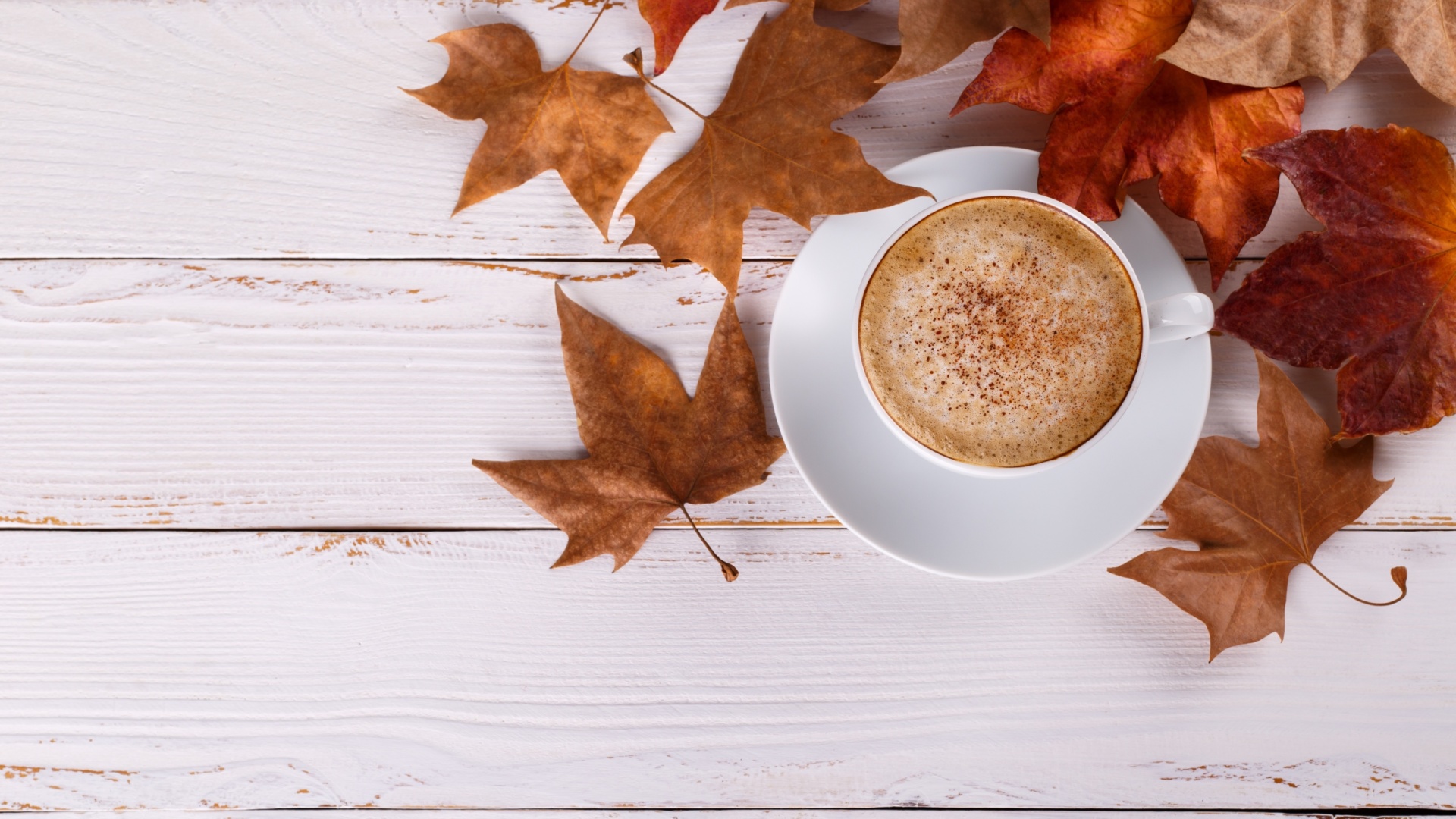 Autumn And Coffee Wallpapers