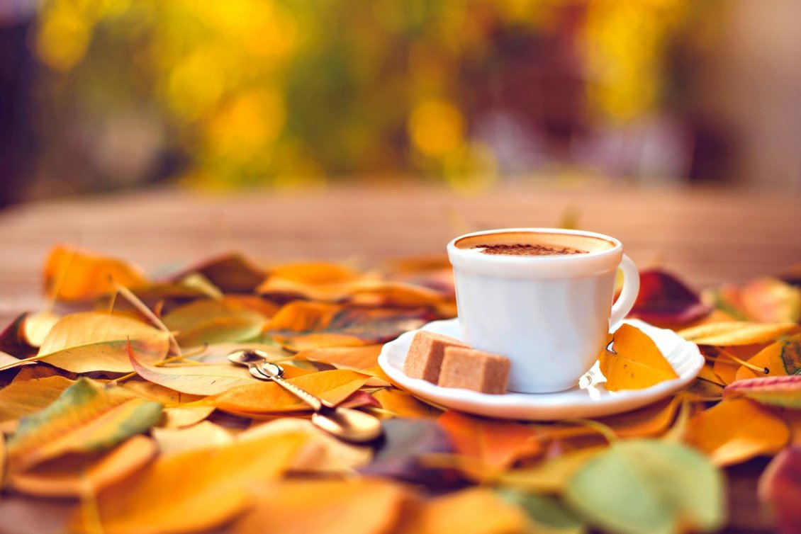 Autumn And Coffee Wallpapers