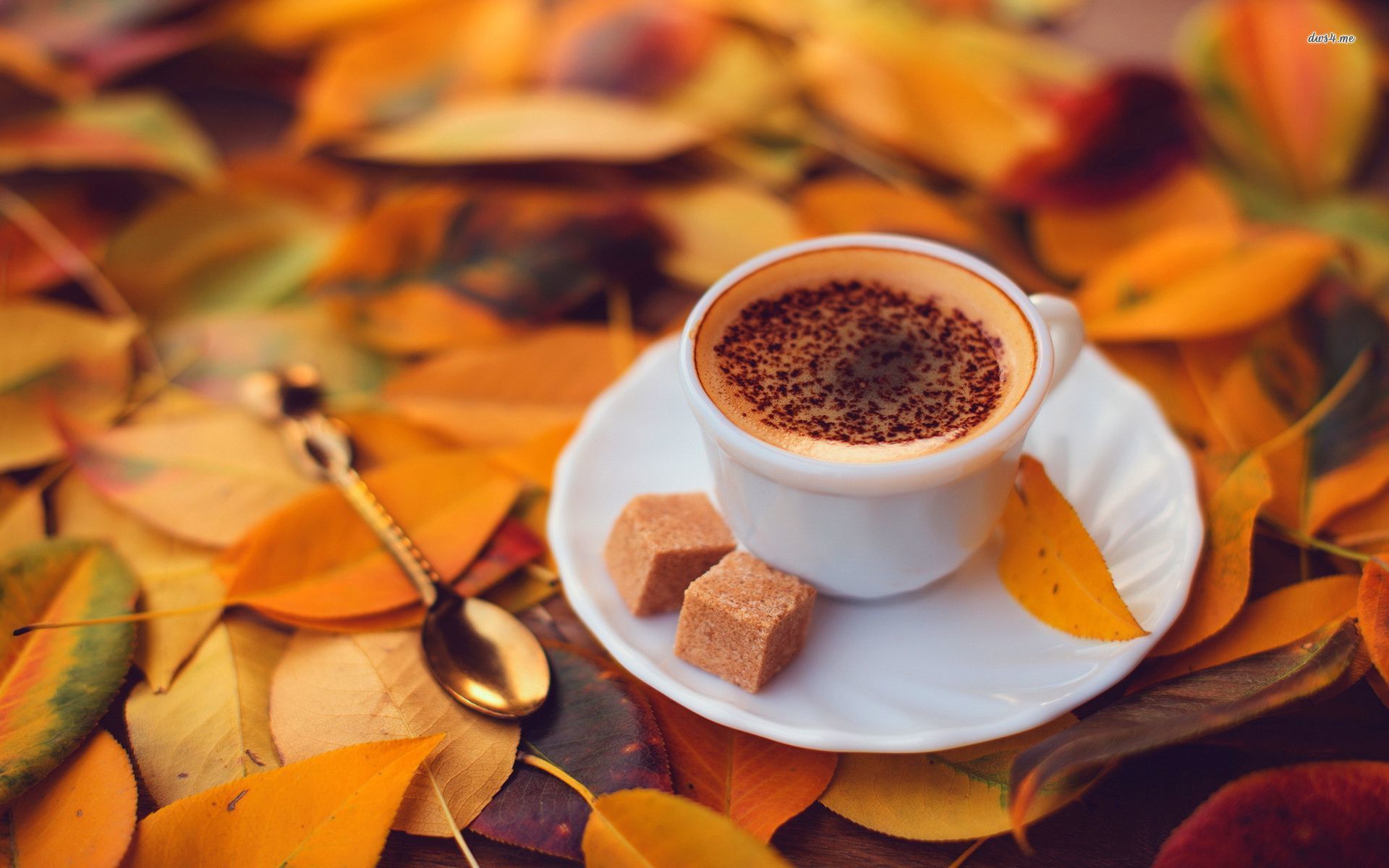 Autumn And Coffee Wallpapers