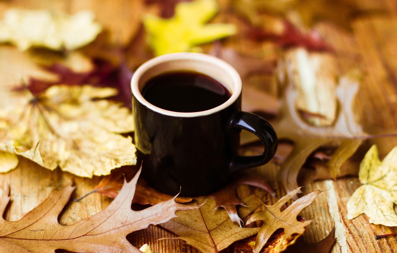 Autumn And Coffee Wallpapers