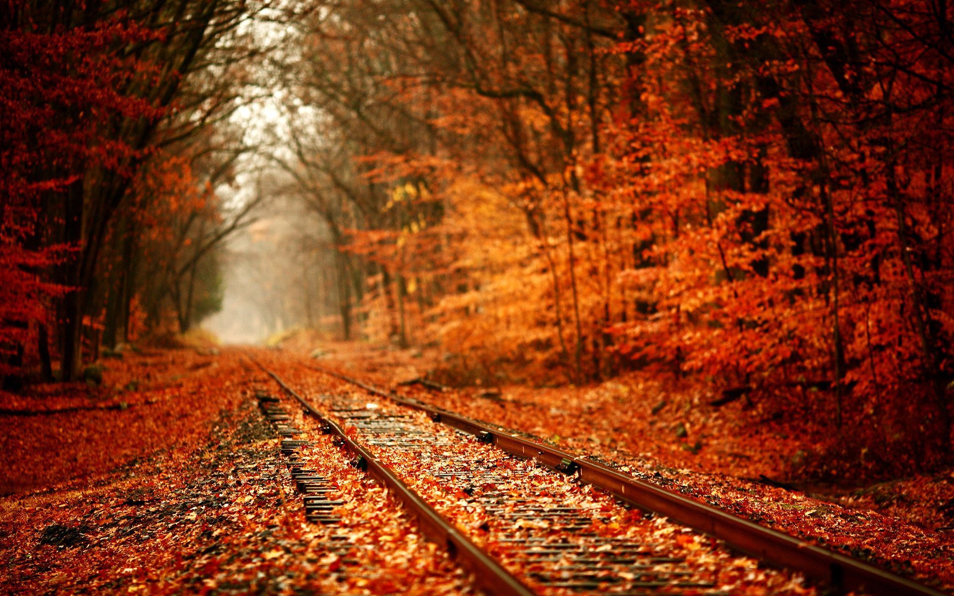 Autumn And Railroad Tracks Wallpapers