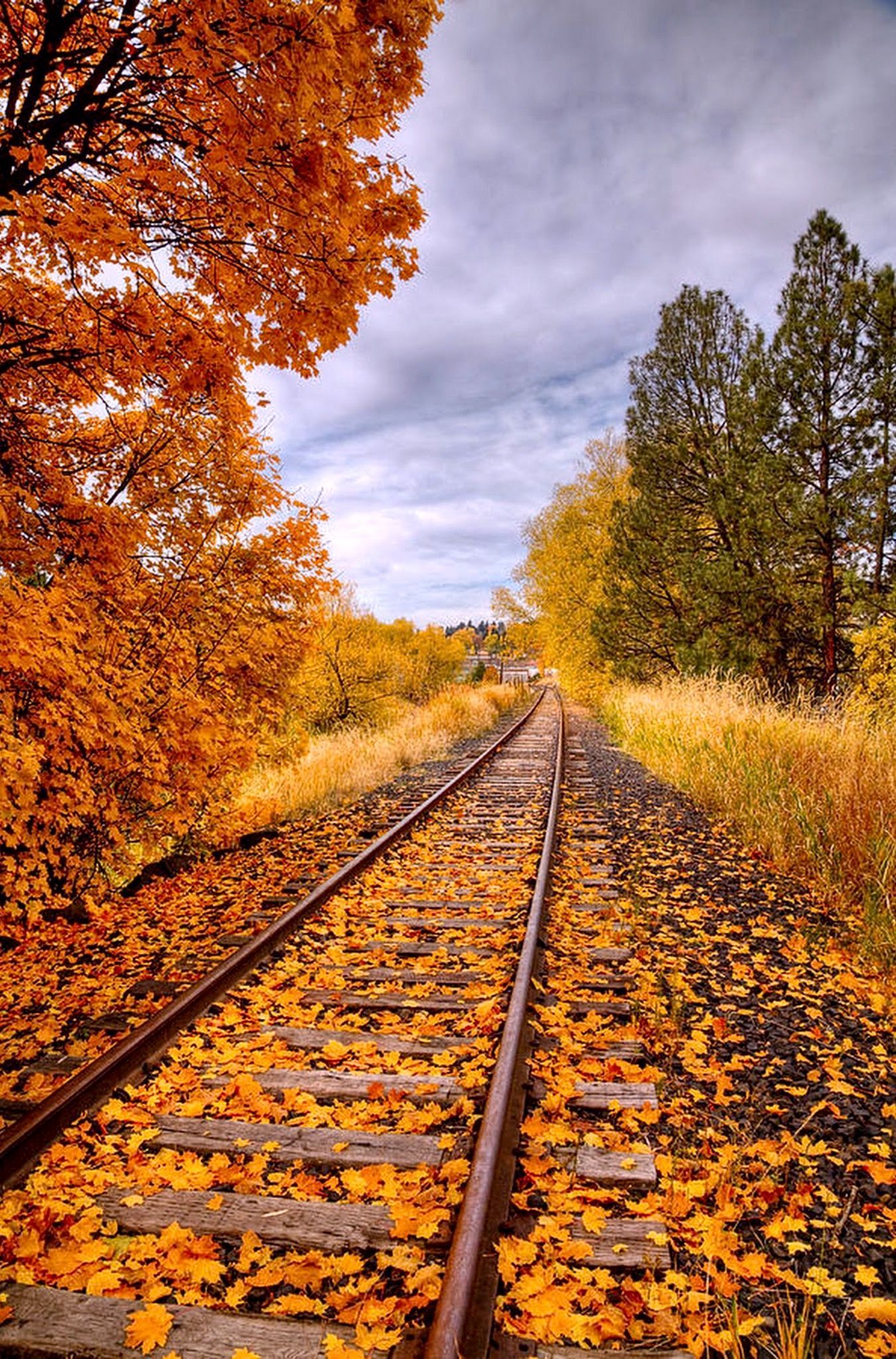 Autumn And Railroad Tracks Wallpapers