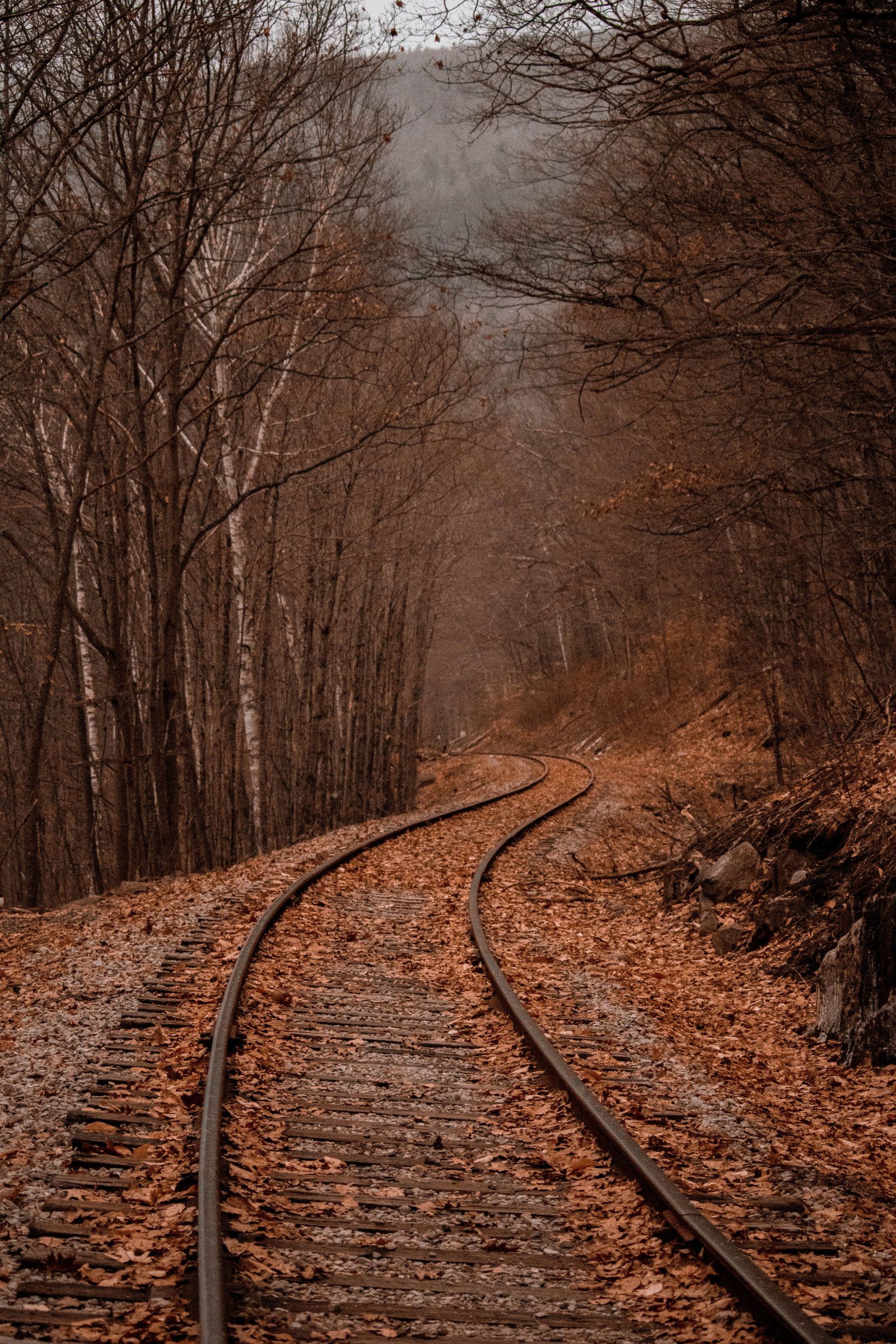 Autumn And Railroad Tracks Wallpapers