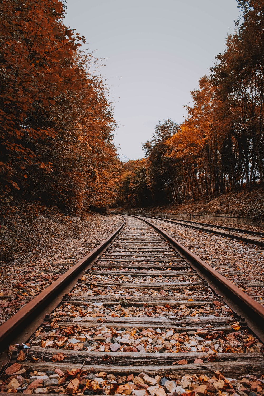 Autumn And Railroad Tracks Wallpapers