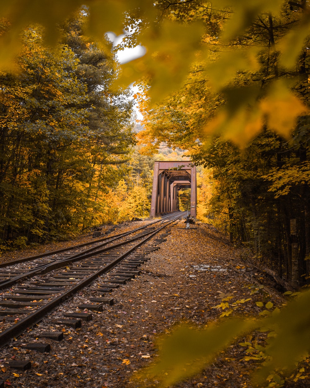 Autumn And Railroad Tracks Wallpapers