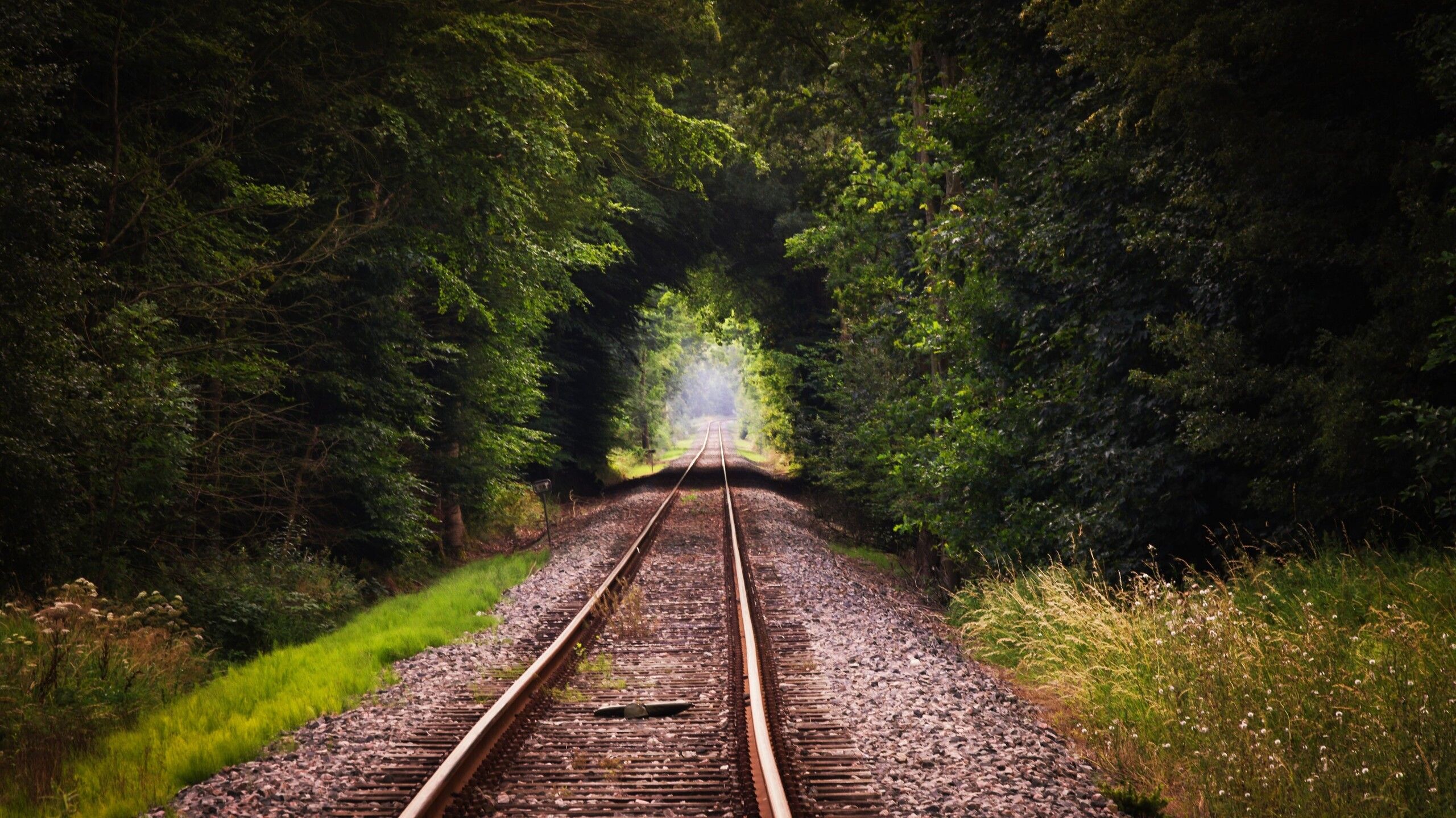 Autumn And Railroad Tracks Wallpapers