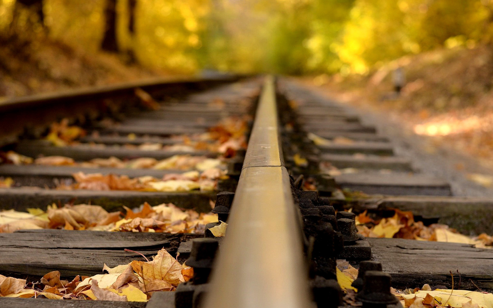 Autumn And Railroad Tracks Wallpapers