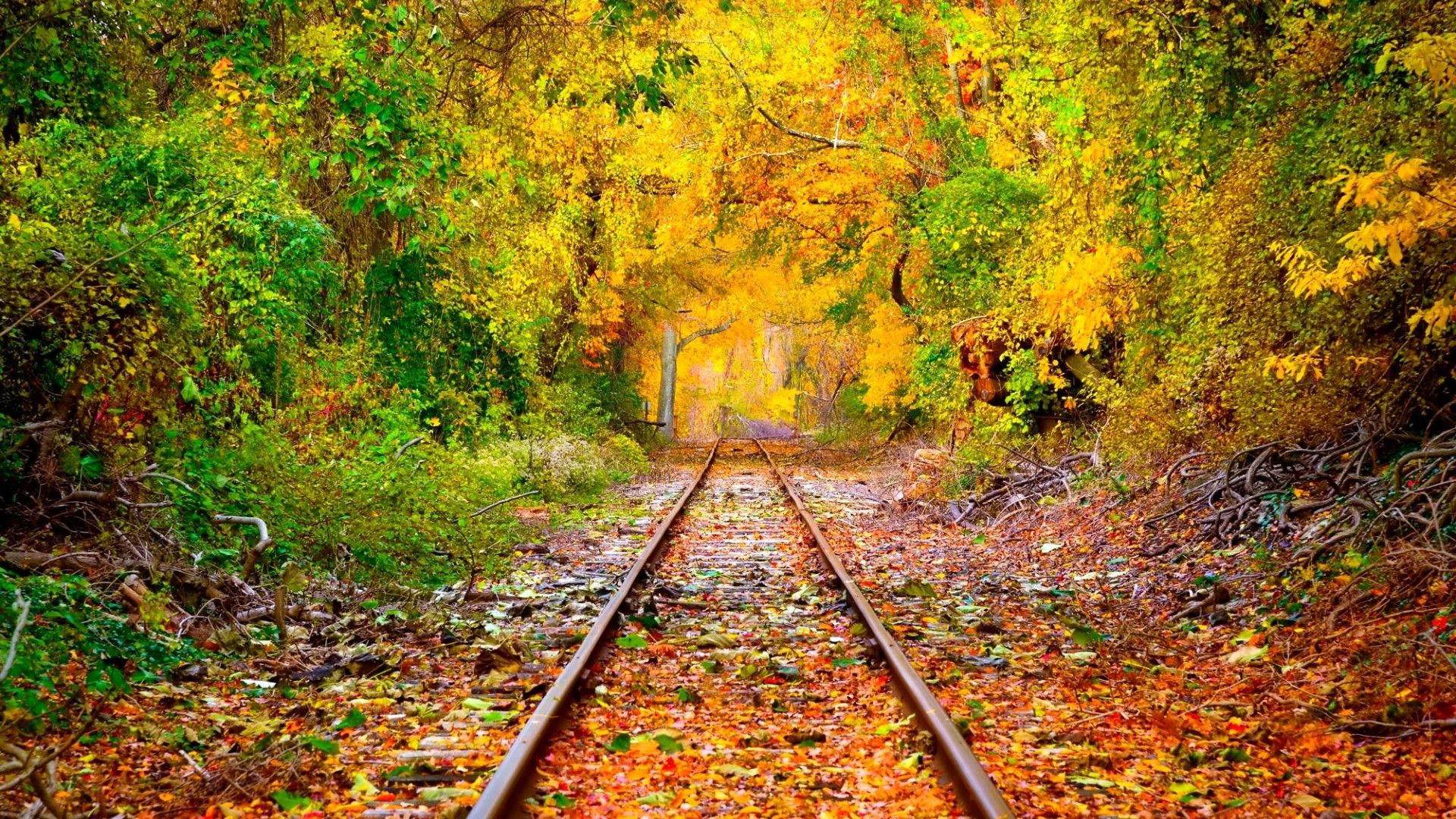 Autumn And Railroad Tracks Wallpapers