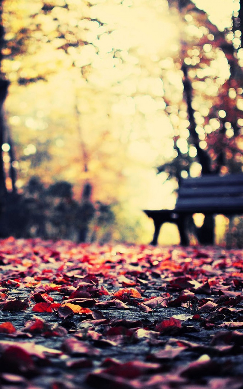 Autumn Android Wallpapers