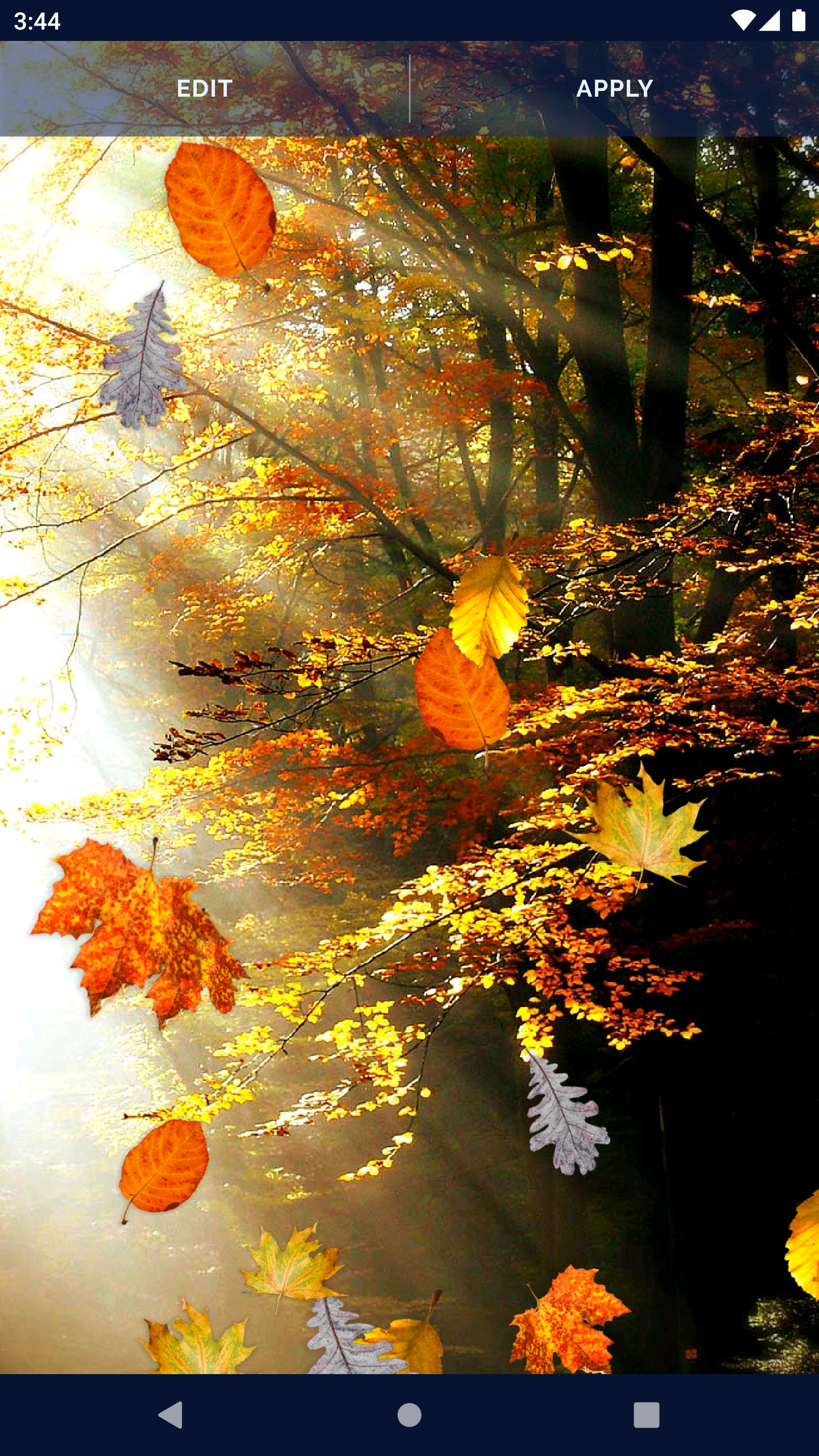 Autumn Android Wallpapers