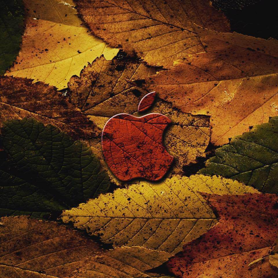 Autumn Apple Wallpapers