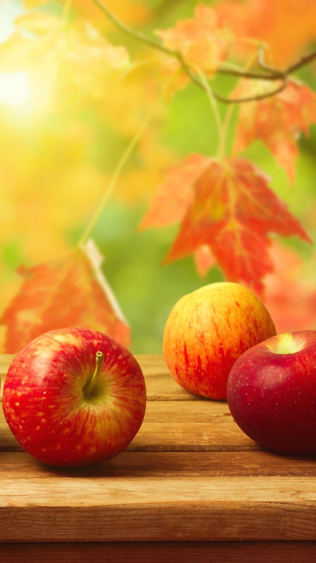 Autumn Apples Wallpapers