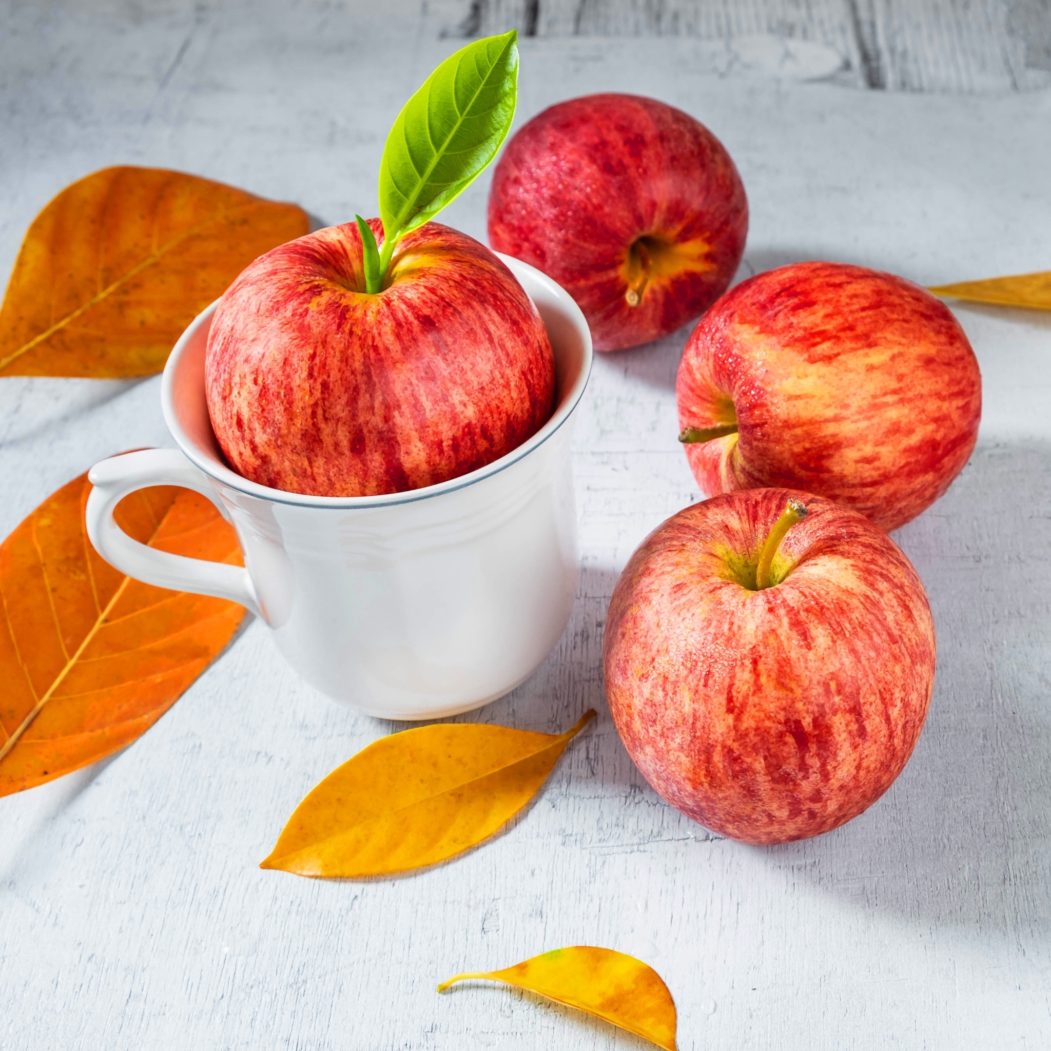 Autumn Apples Wallpapers