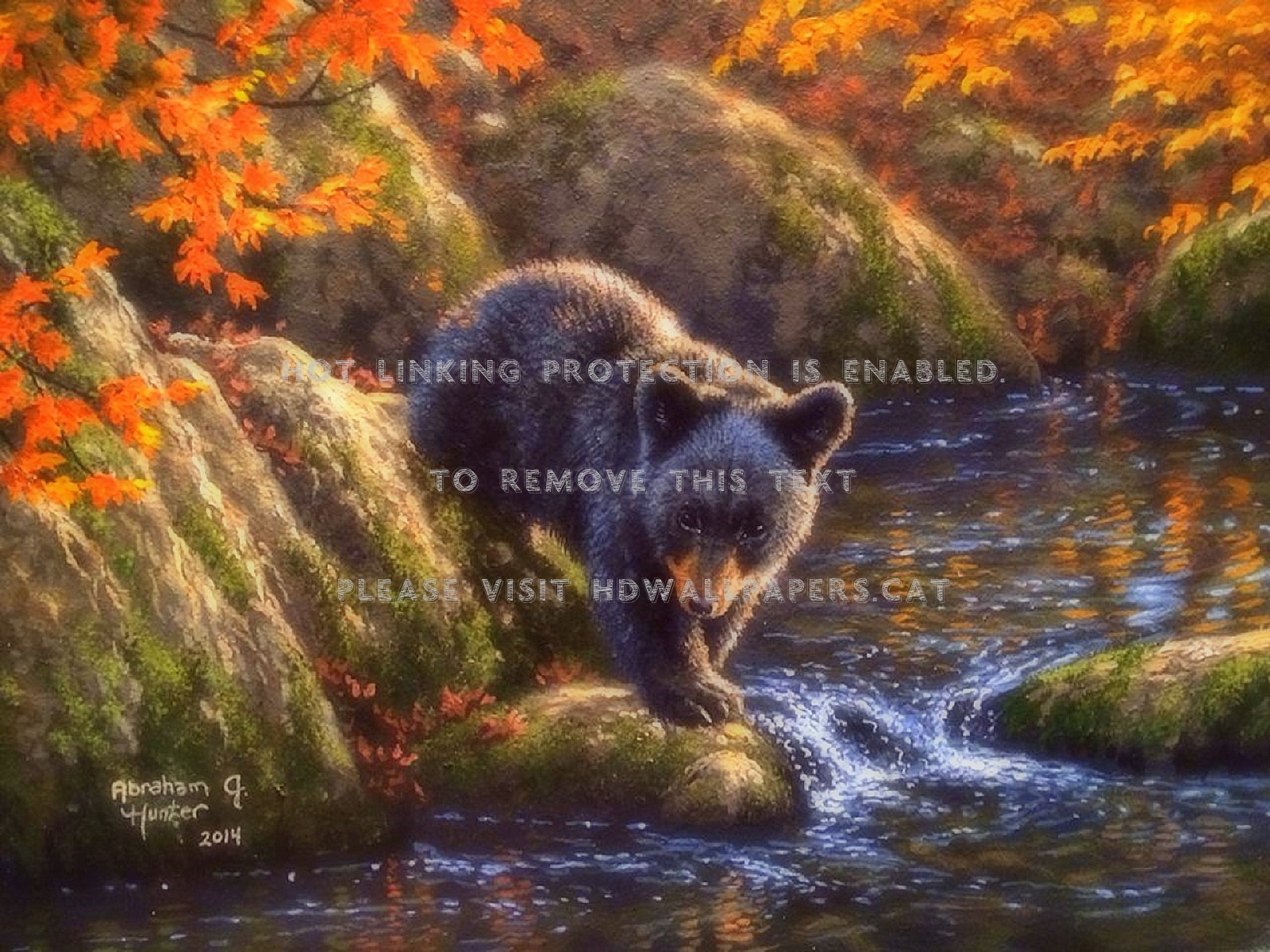 Autumn Bear Wallpapers