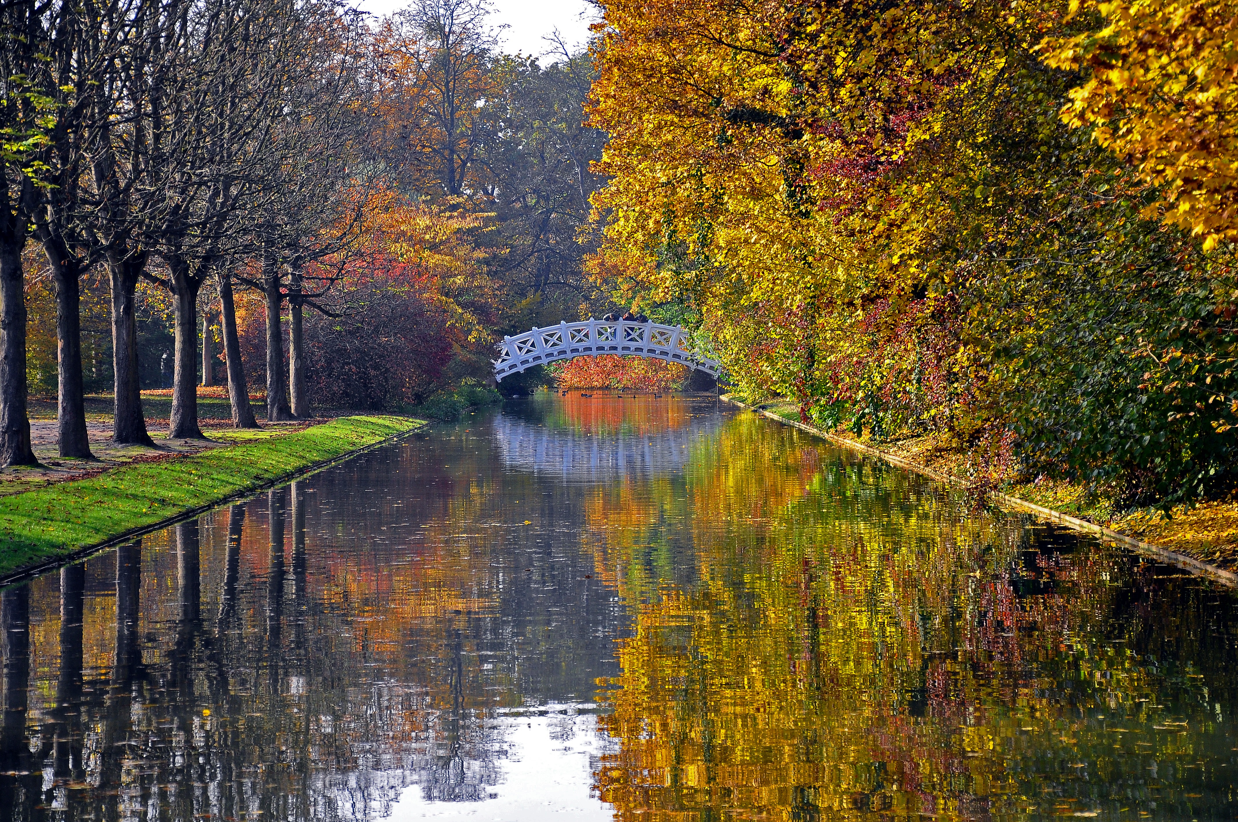 Autumn Bridge Wallpapers