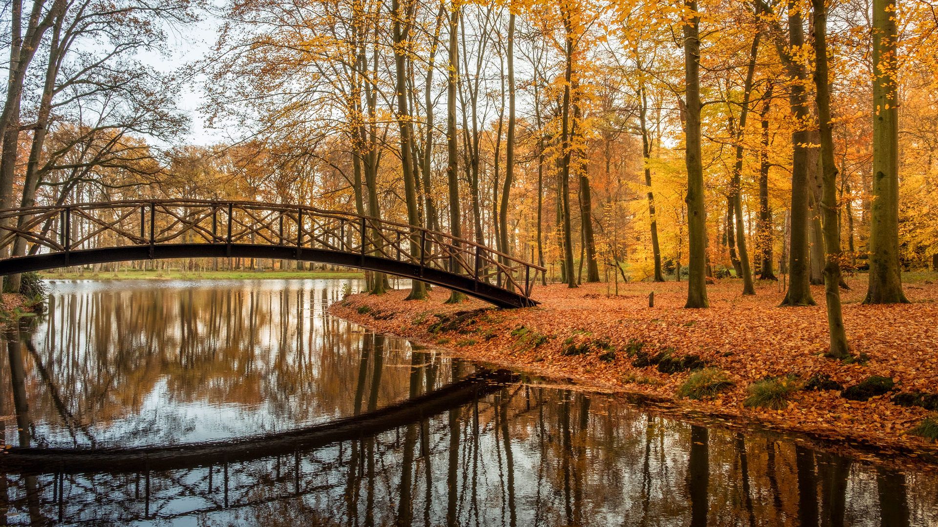 Autumn Bridge Wallpapers