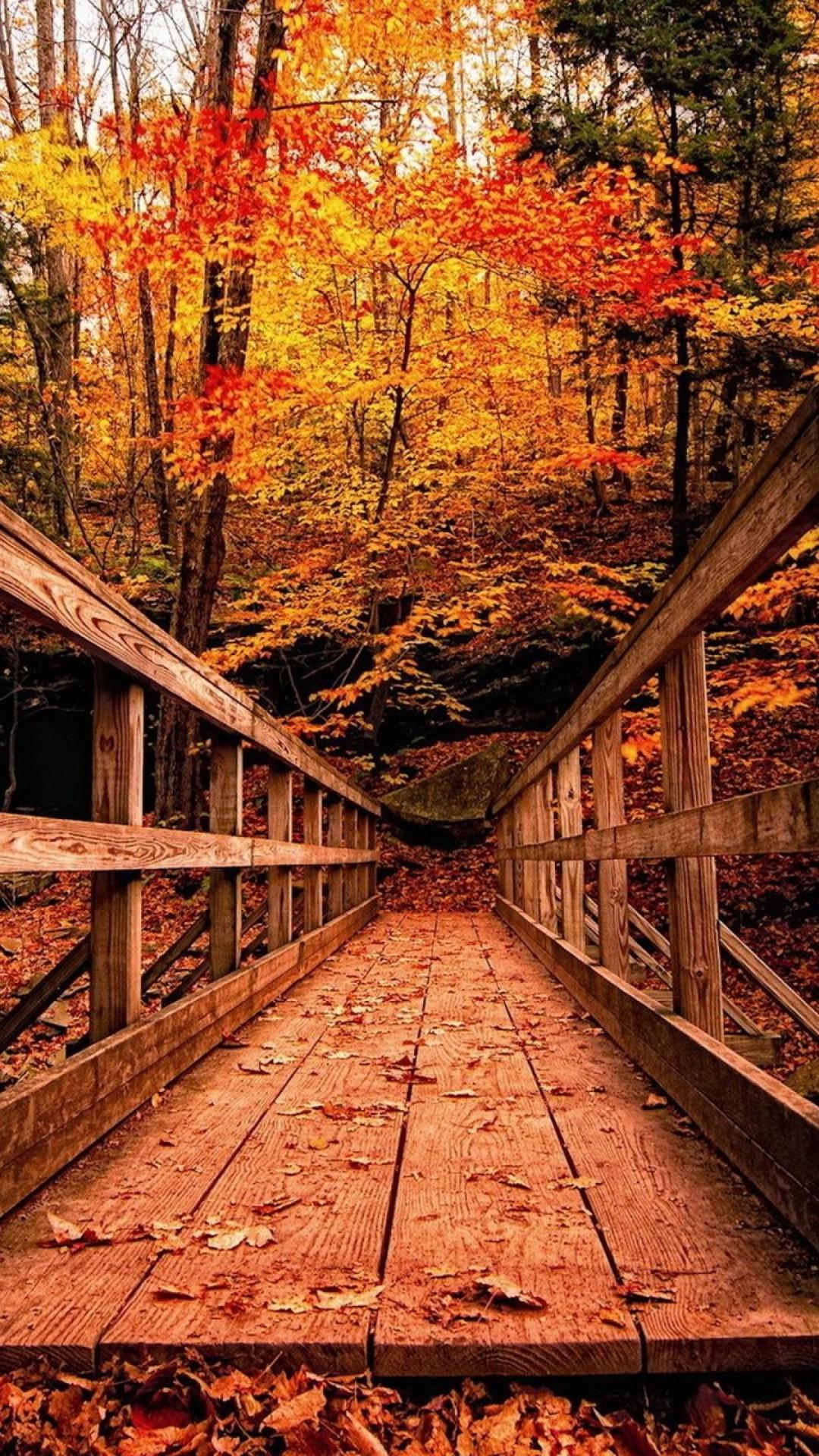 Autumn Bridge Wallpapers