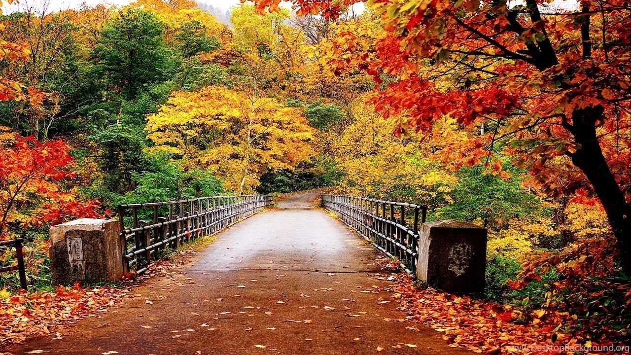 Autumn Bridge Wallpapers