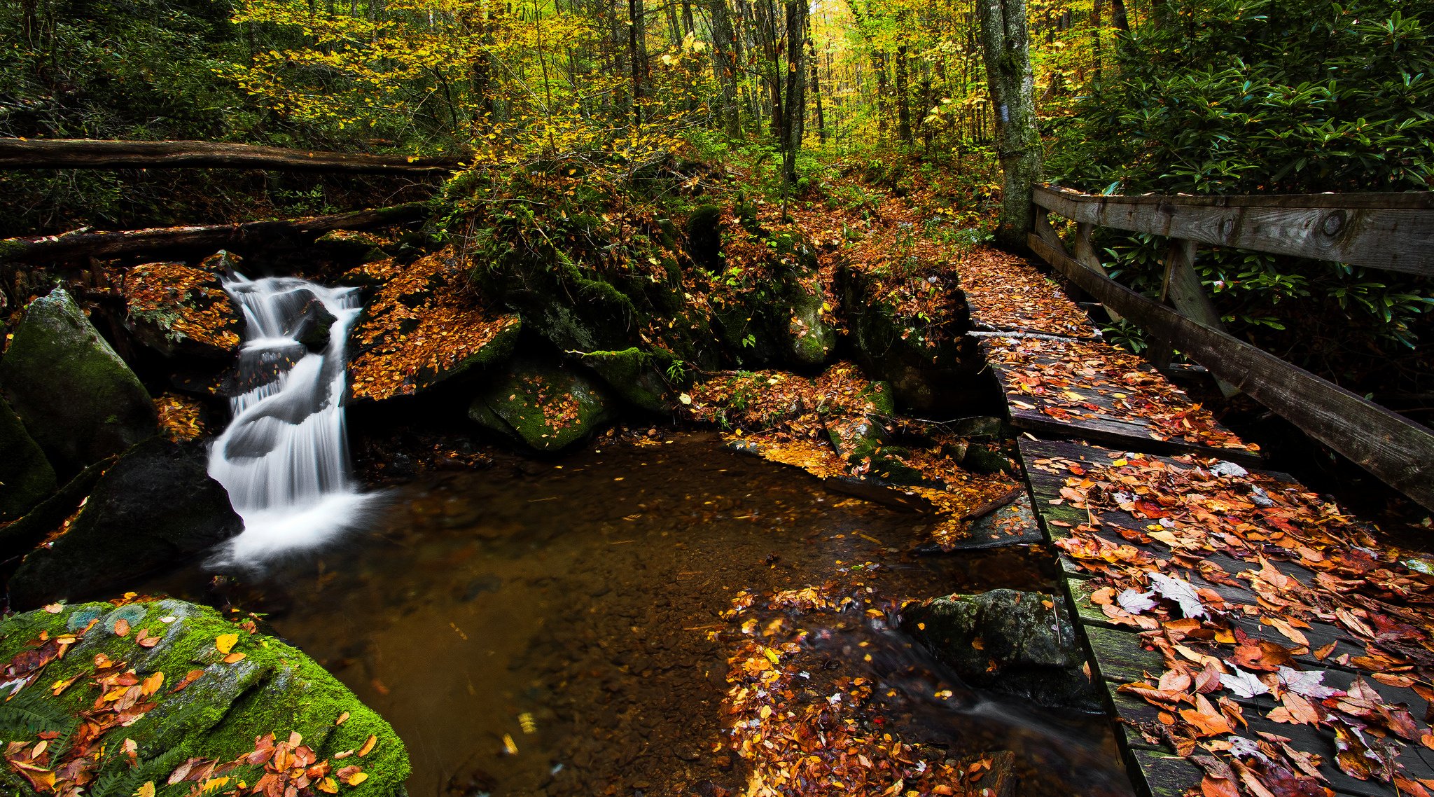 Autumn Bridge Wallpapers