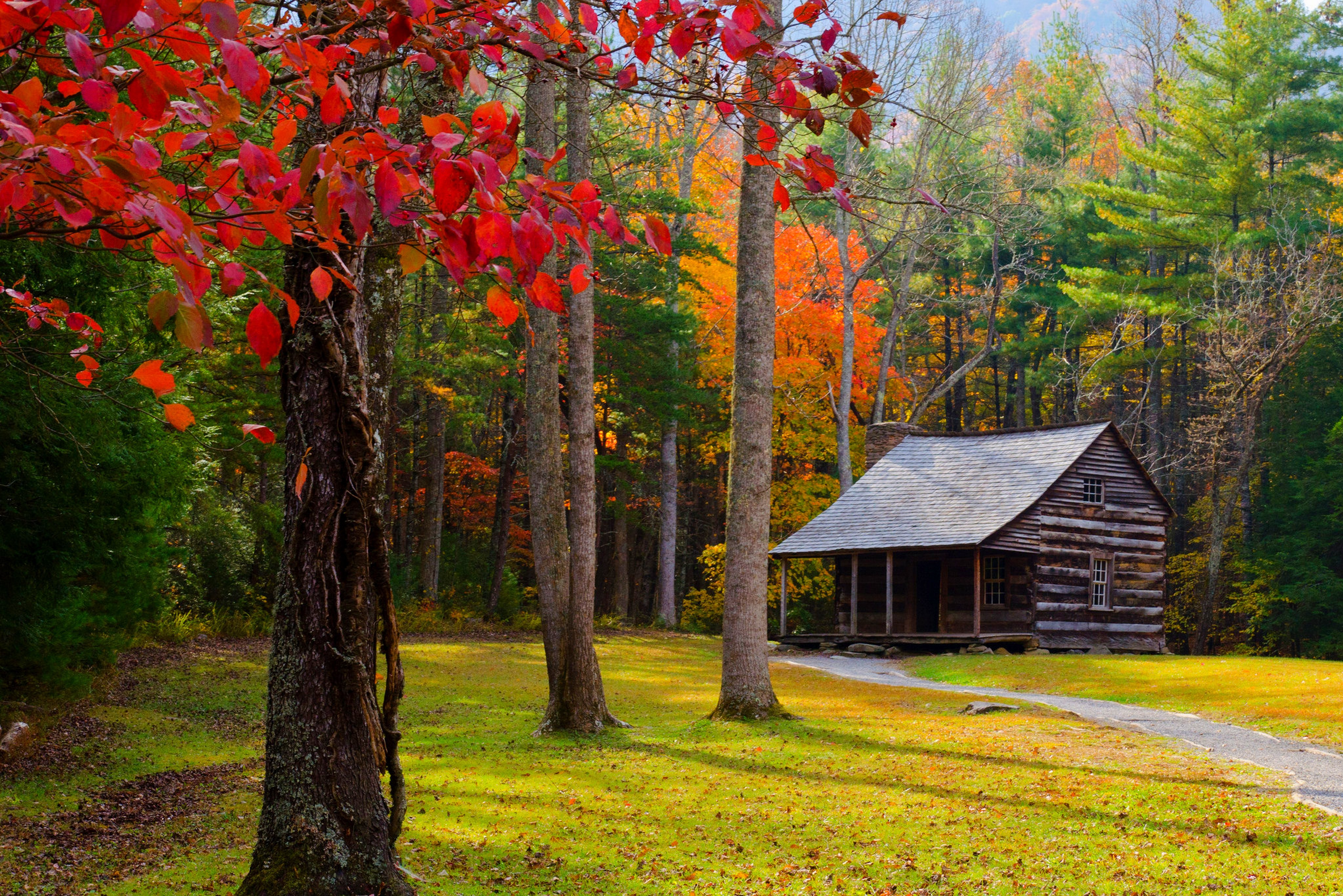 Autumn Cabin Wallpapers