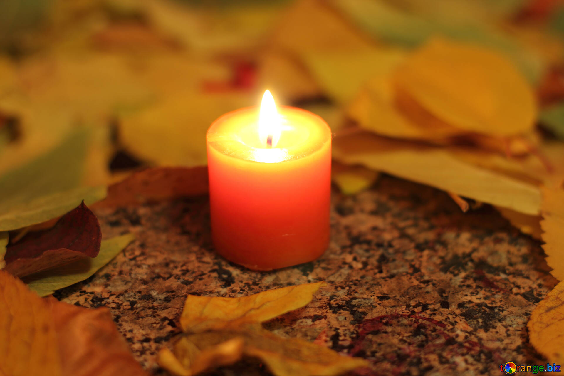 Autumn Candle Wallpapers