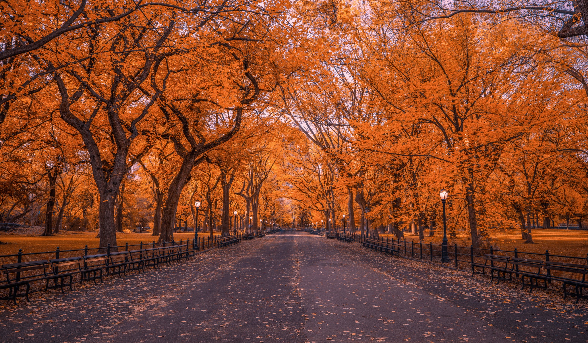 Autumn Central Park New York Wallpapers