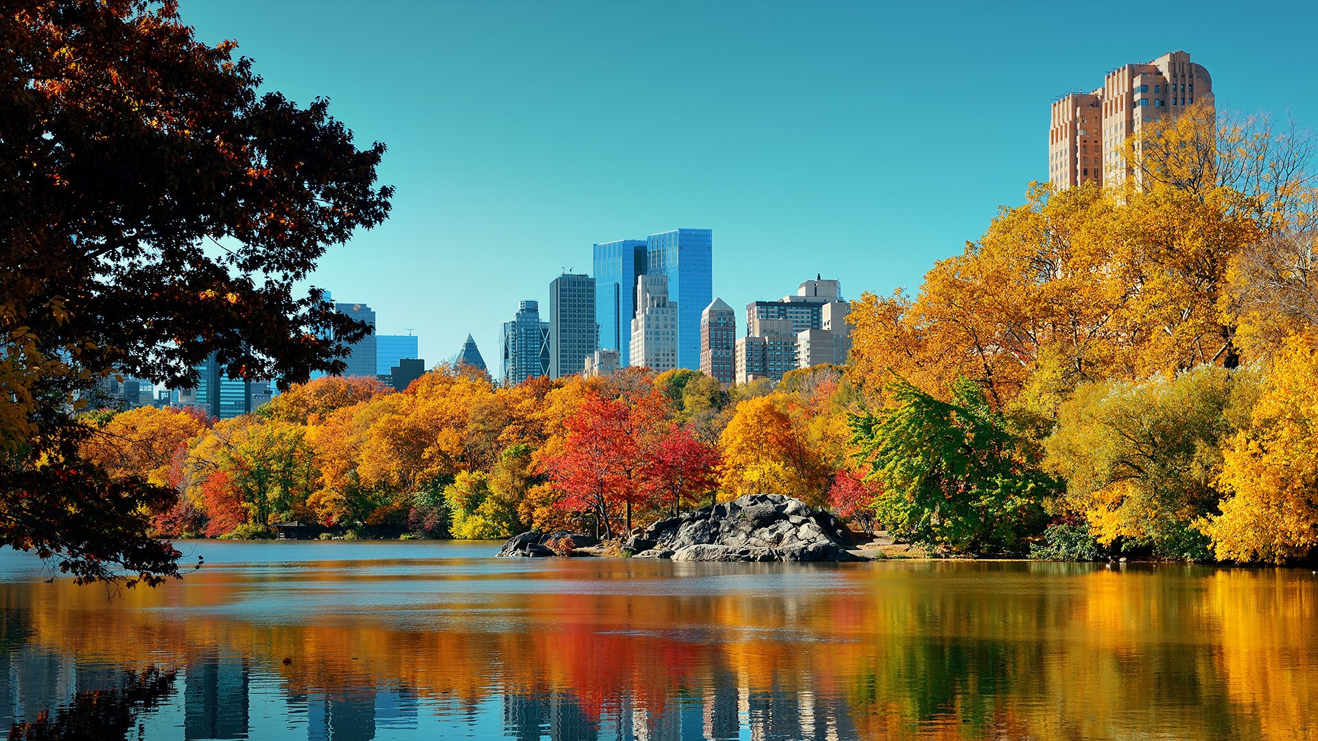 Autumn Central Park New York Wallpapers