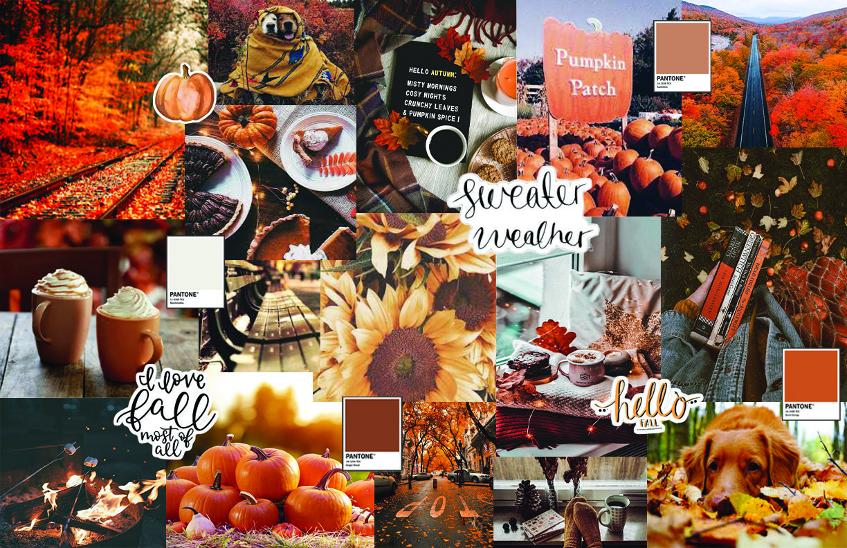 Autumn Collage Laptop Wallpapers