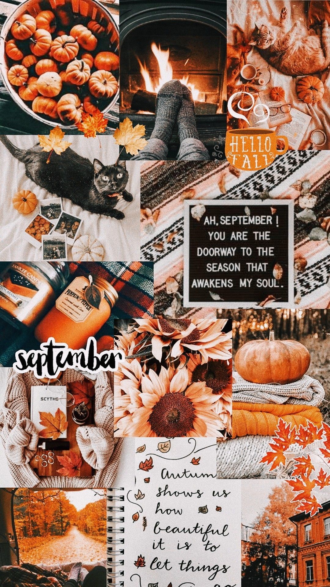 Autumn Collage Laptop Wallpapers