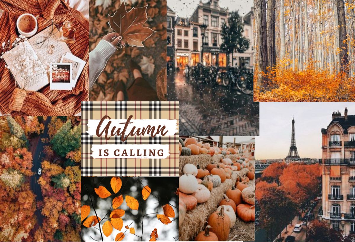 Autumn Collage Laptop Wallpapers