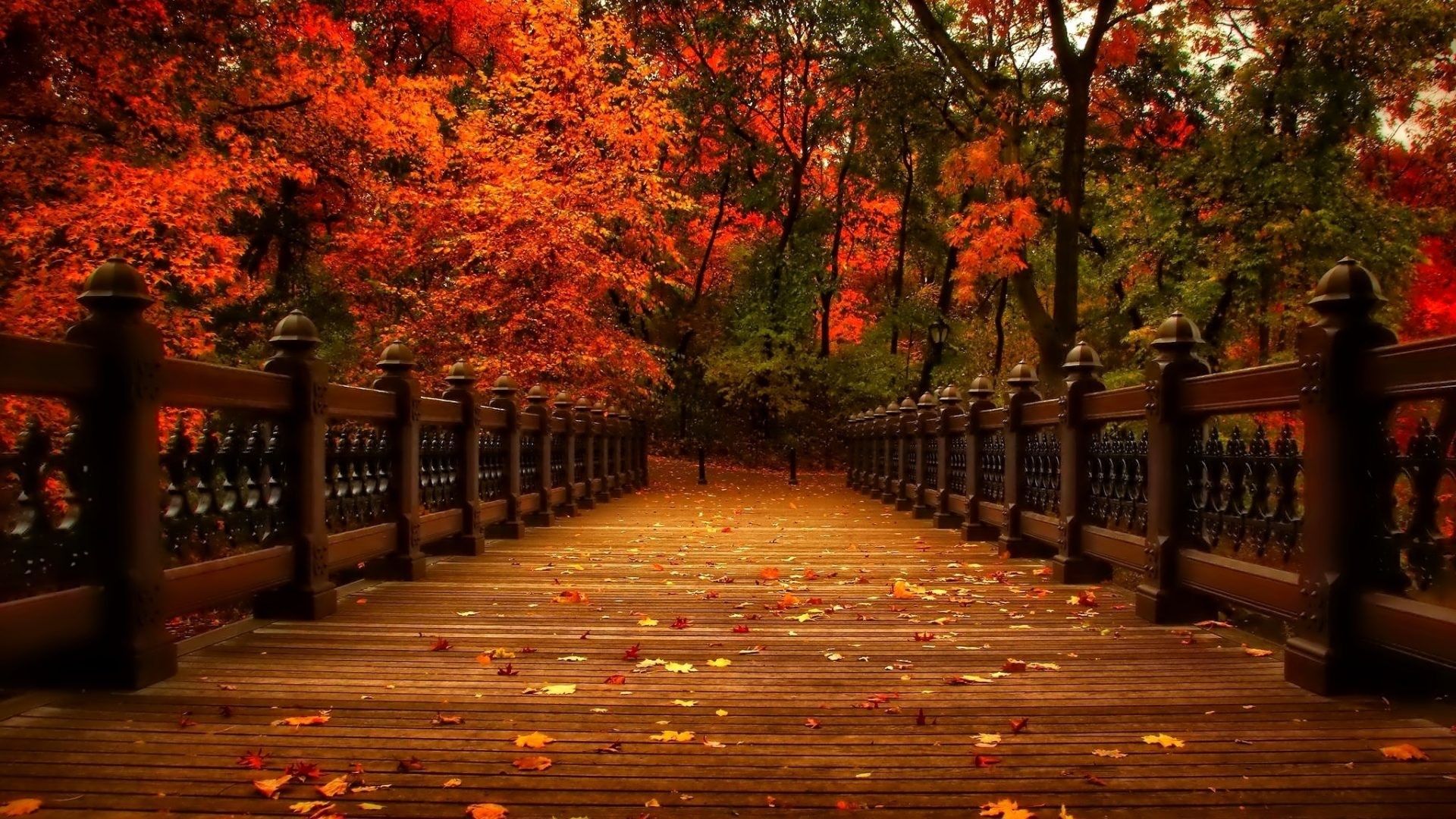 Autumn Collage Laptop Wallpapers