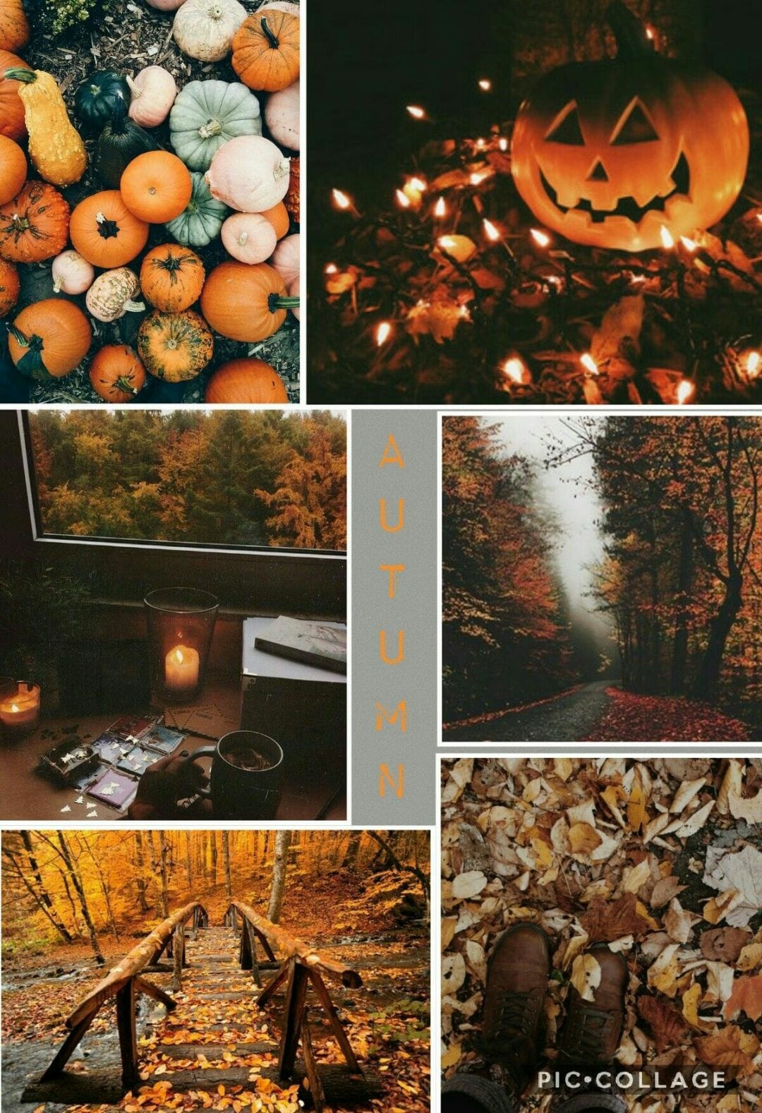 Autumn Collage Laptop Wallpapers