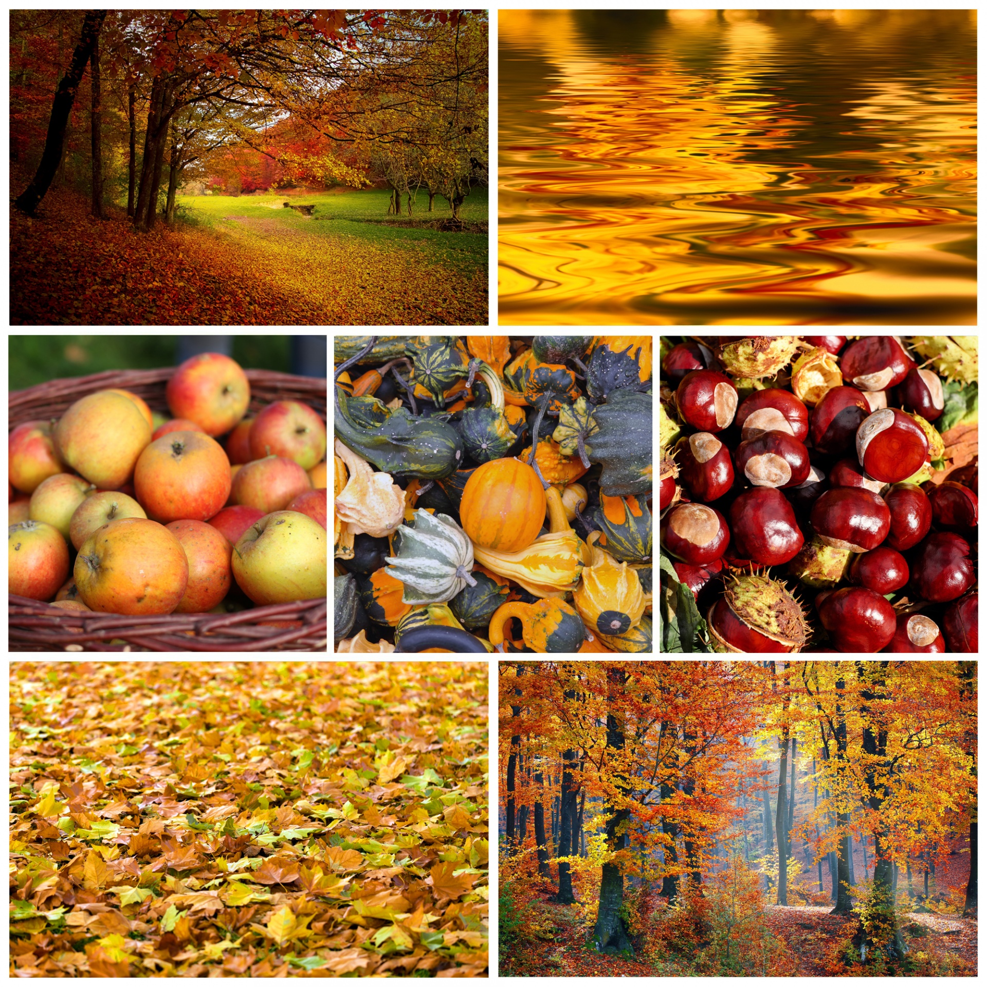 Autumn Collages Wallpapers