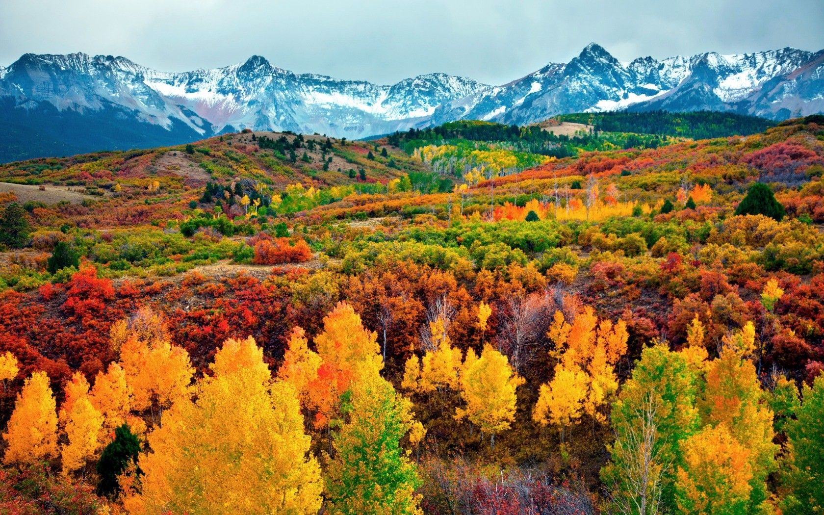 Autumn Colorado Wallpapers