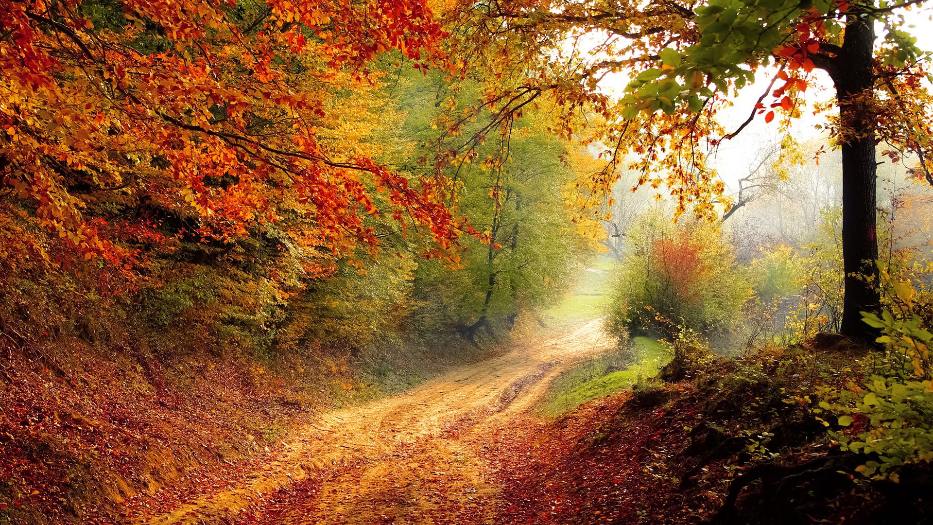 Autumn Colors Wallpapers