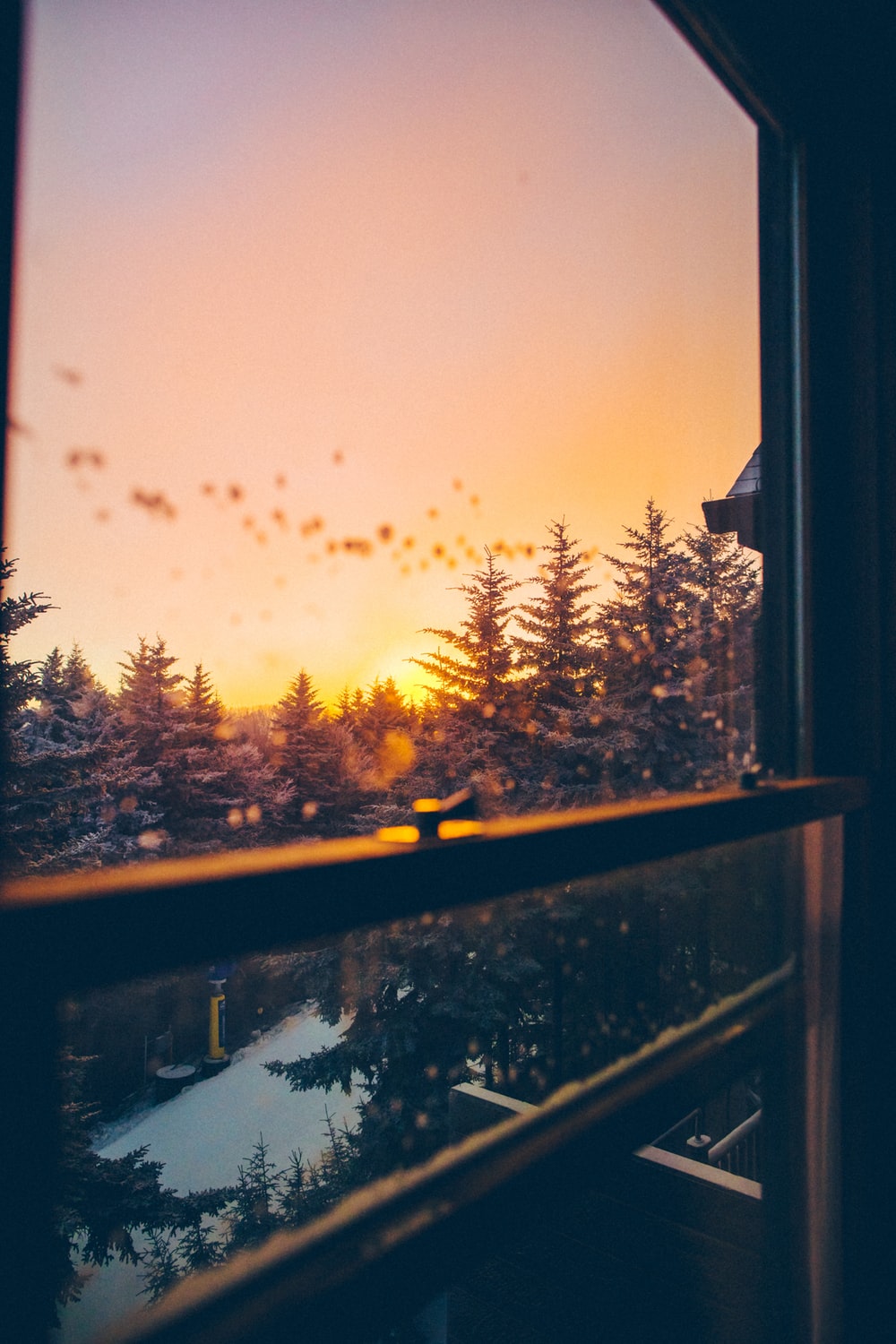 Autumn Cozy Wallpapers