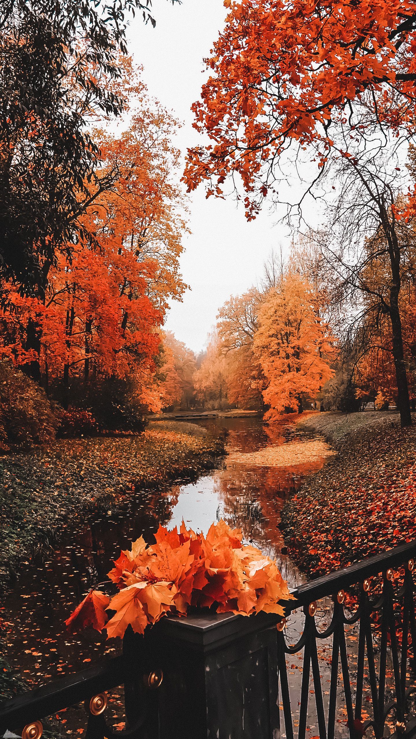 Autumn Cozy Wallpapers