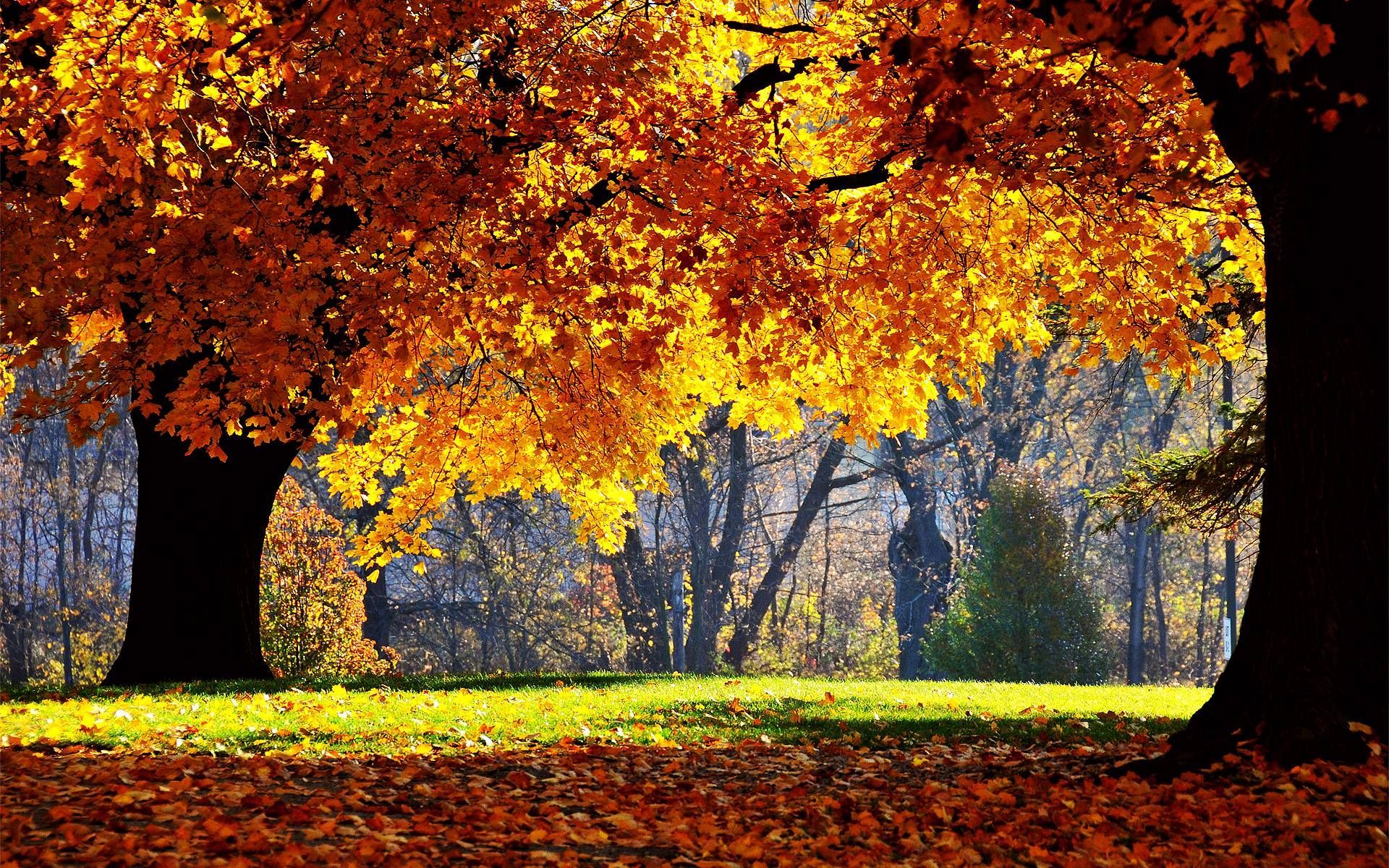 Autumn Desktop Wallpapers