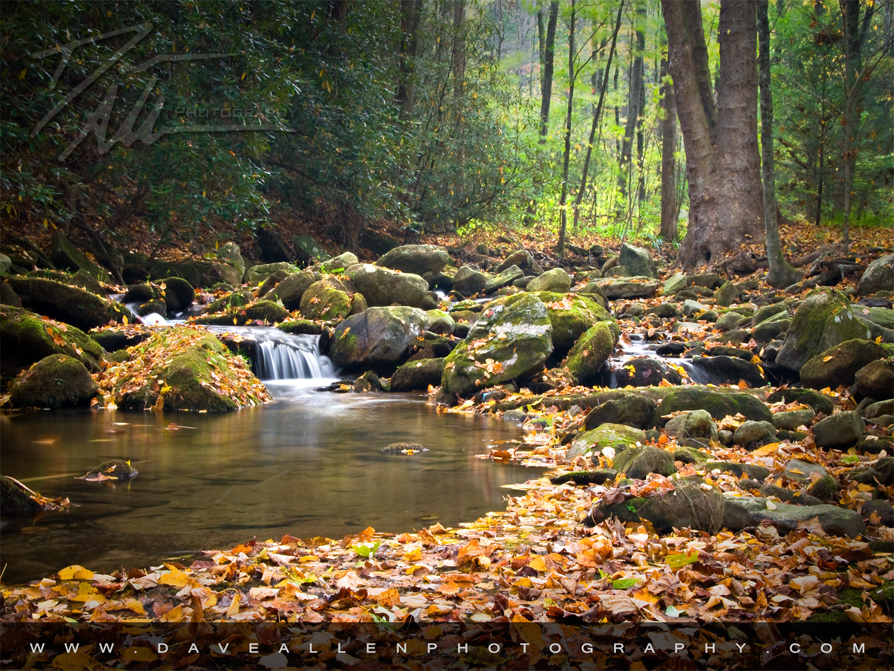 Autumn Desktop Wallpapers