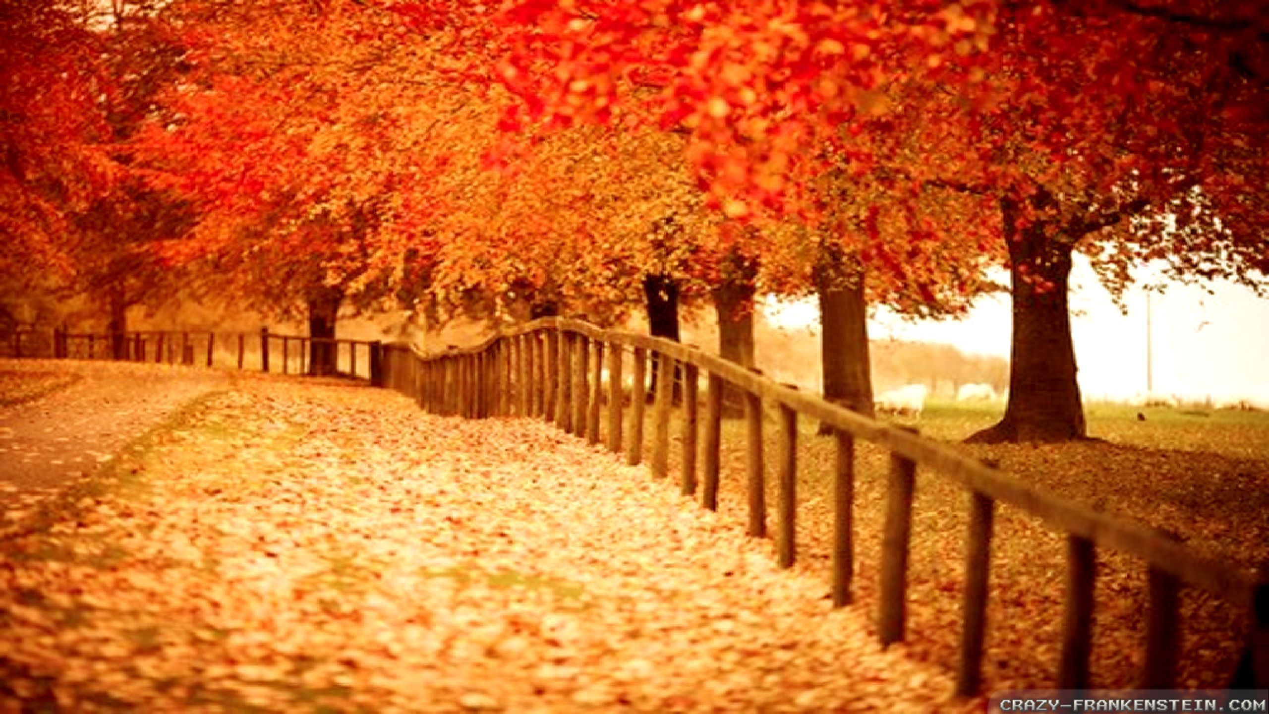 Autumn Desktop Wallpapers