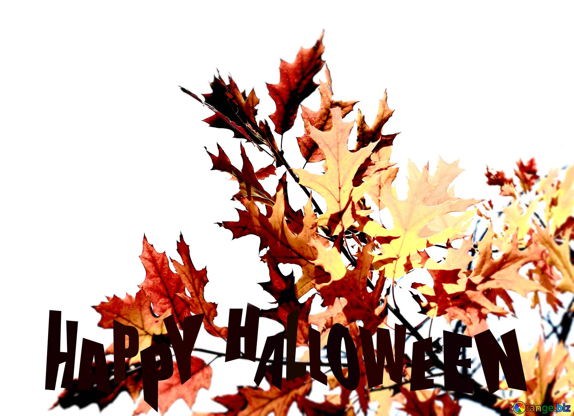 Autumn Desktop Wallpapers