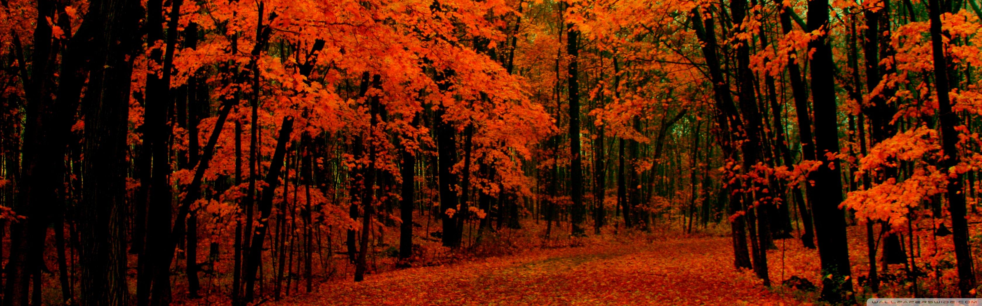 Autumn Dual Monitor Wallpapers