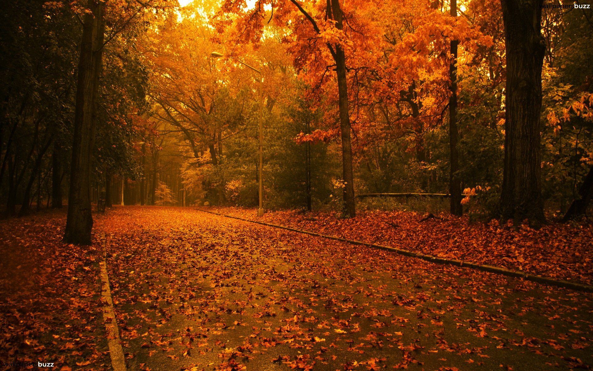 Autumn Evening Wallpapers